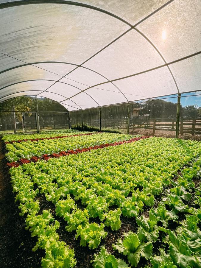 Hotel Fazenda Vale Da Mantiqueira Virgínia المظهر الخارجي الصورة
